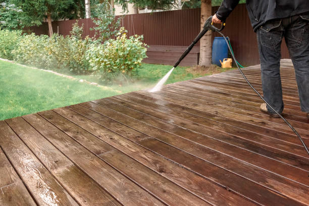 Best Fence Cleaning  in , MI
